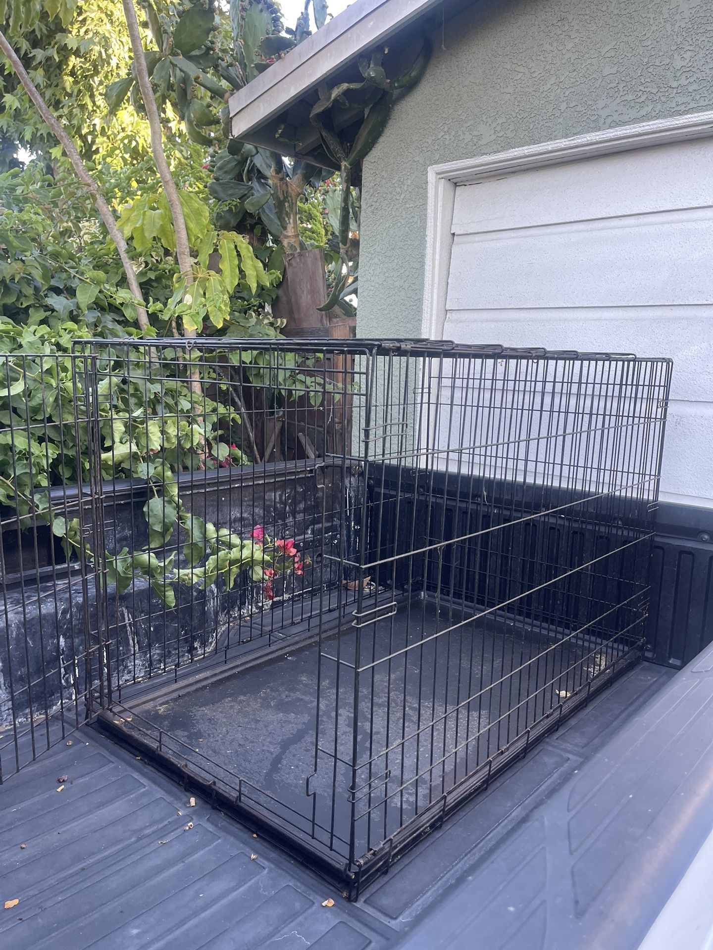 BIG CAGE