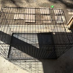 Dog Kennel (can clean Before Pickup)