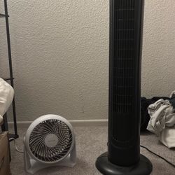 Two Fans