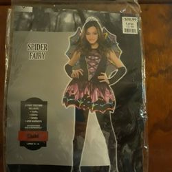 Spider Fairy Costume