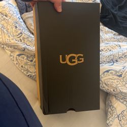 Ugg Shoe Box