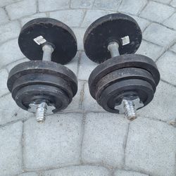 33lbsDumbells Weights