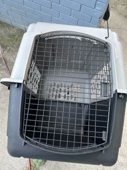 Dog kennel