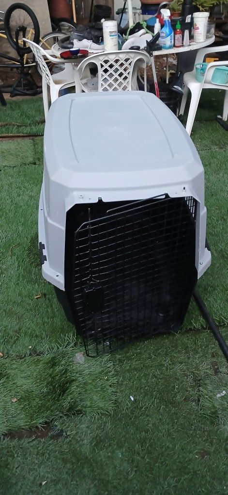 Large Dog Kennel