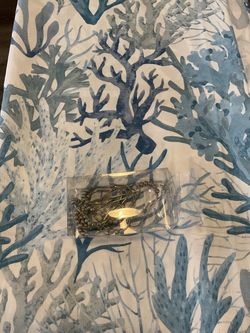 Shower curtain and hook