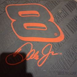 Dale Earnhardt Rubber Floor Matts