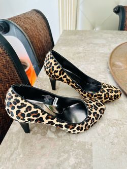 Cheetah pumps