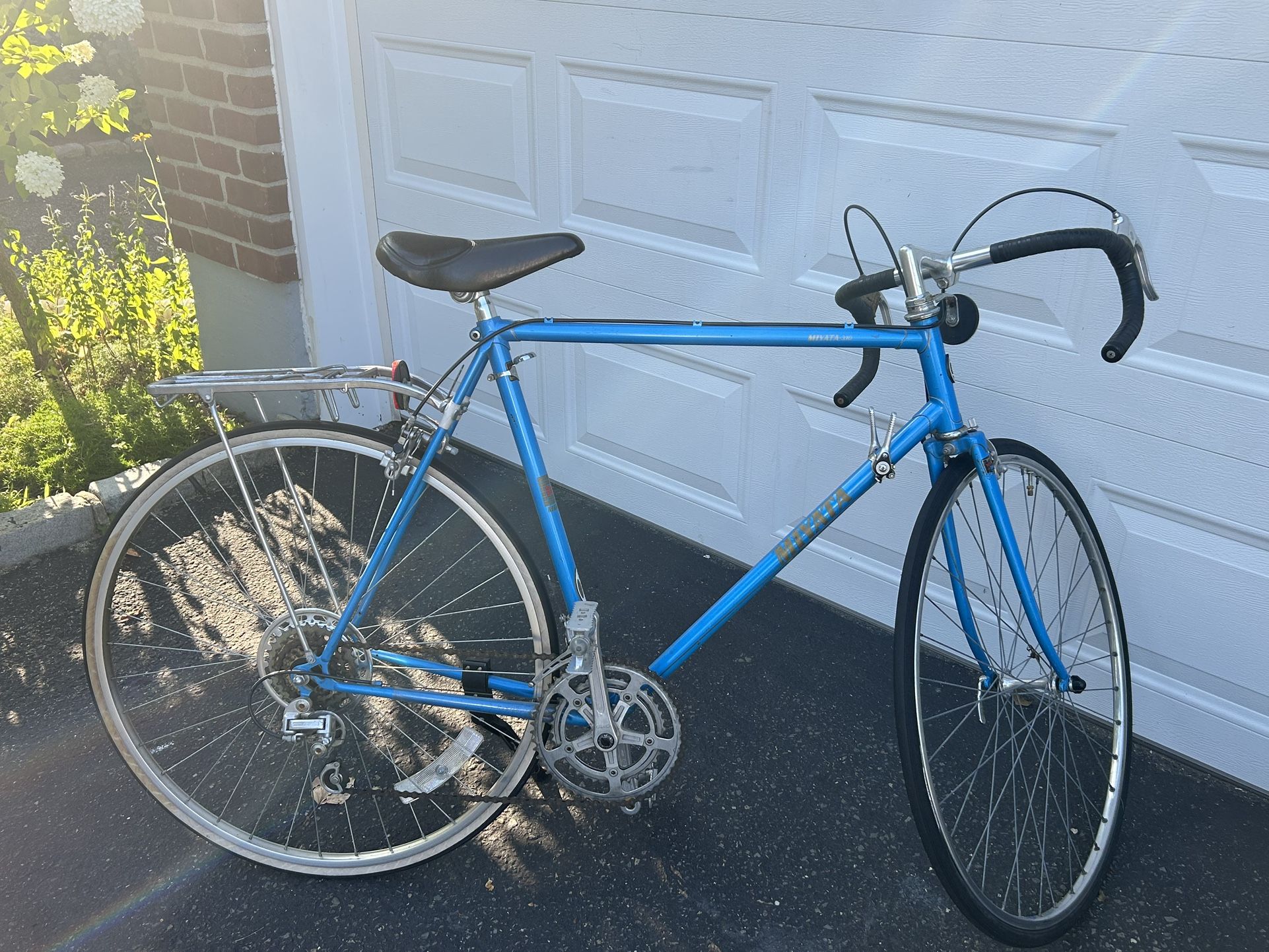 Vintage Bicycle Speed Schwinn. Jaguar