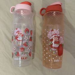 Water Bottle 