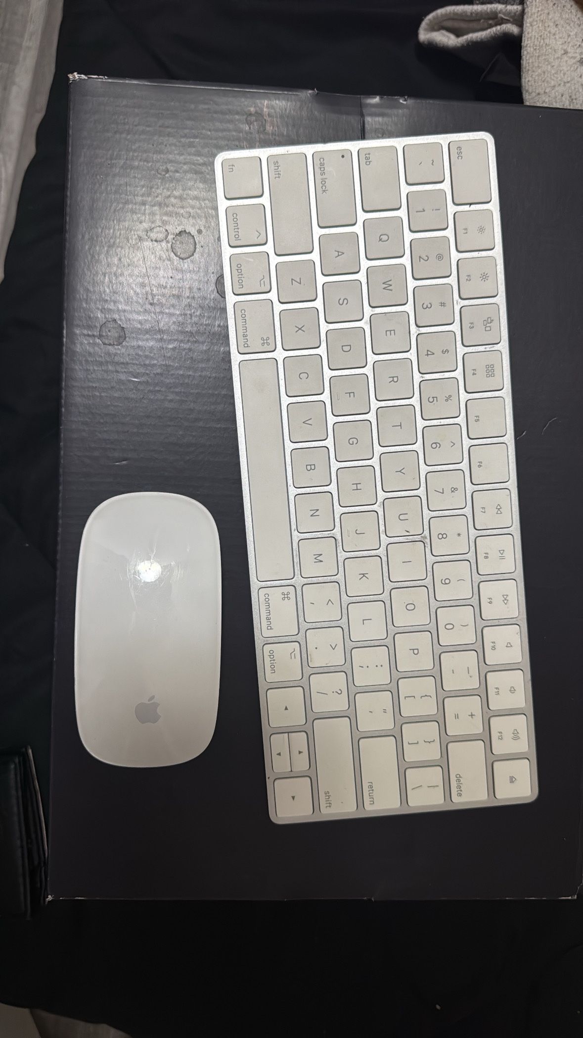 Wireless Apple Keyboard + Mouse