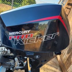 2020 Mercury 15 hp