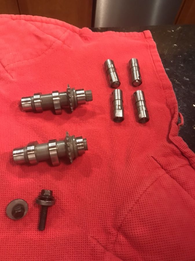 Harley SE-255 Cams and Lifters