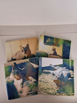Ceramic Coasters Tinker Set Of 4