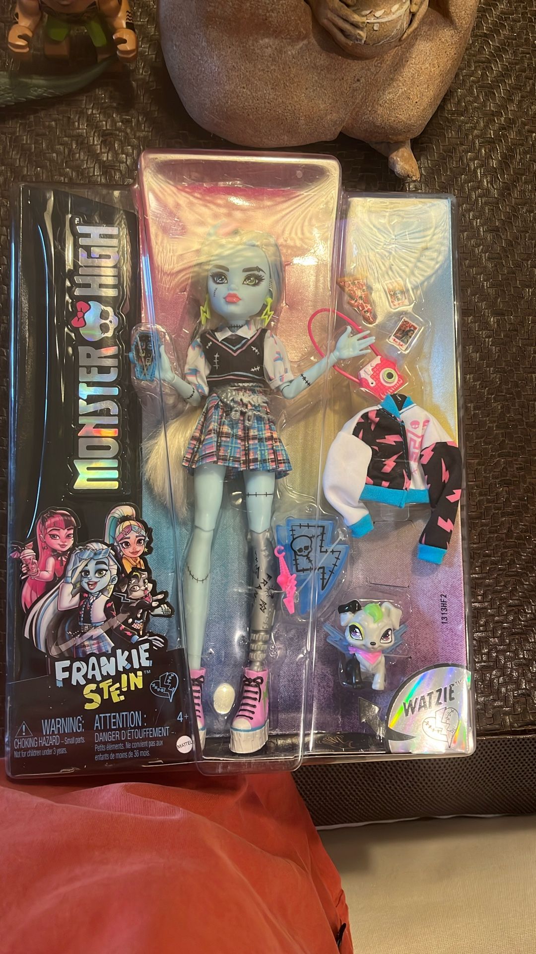 Mattel Monster High Frankie Stein Doll with Pet and Accessories New