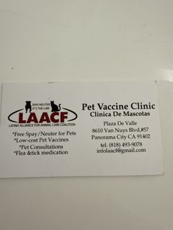 Spay / Neuter