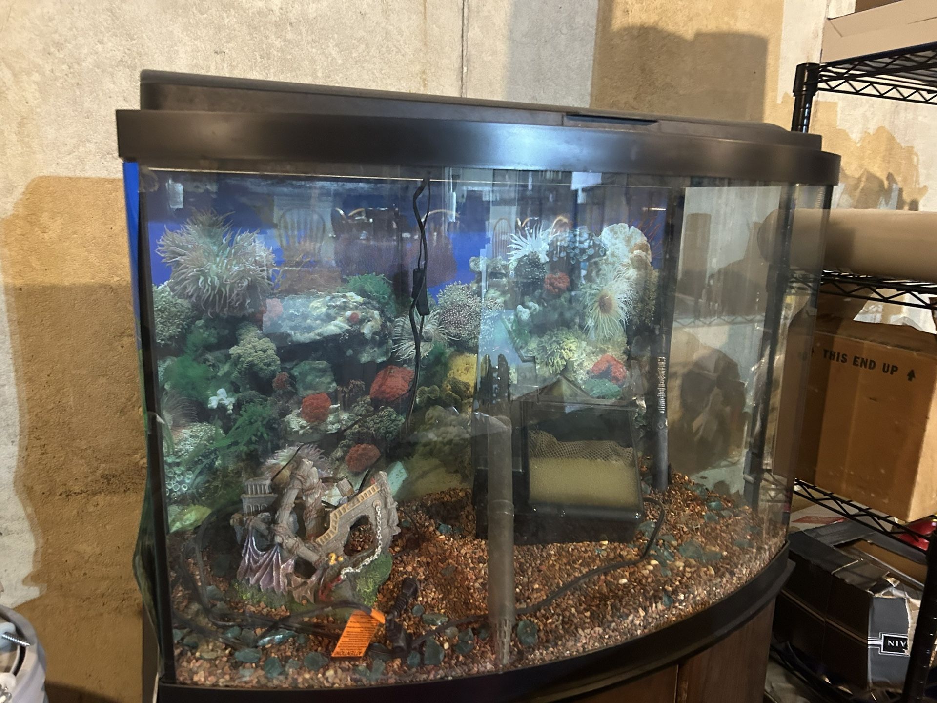 35-Gallon Fish Tank