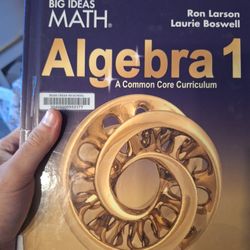 Big Ideas Math Algebra 1 Textbook