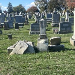 Plot Cleaner Maintenance 