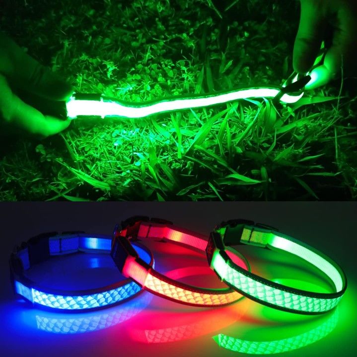 Rechargeable LED Dog Collar Small Green