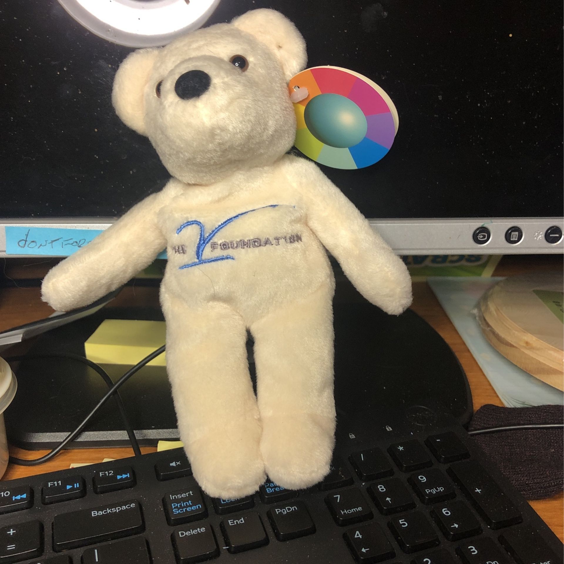 1999 V Foundation Bear