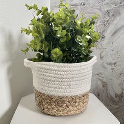 Artificial Plant with Basket Holder 
