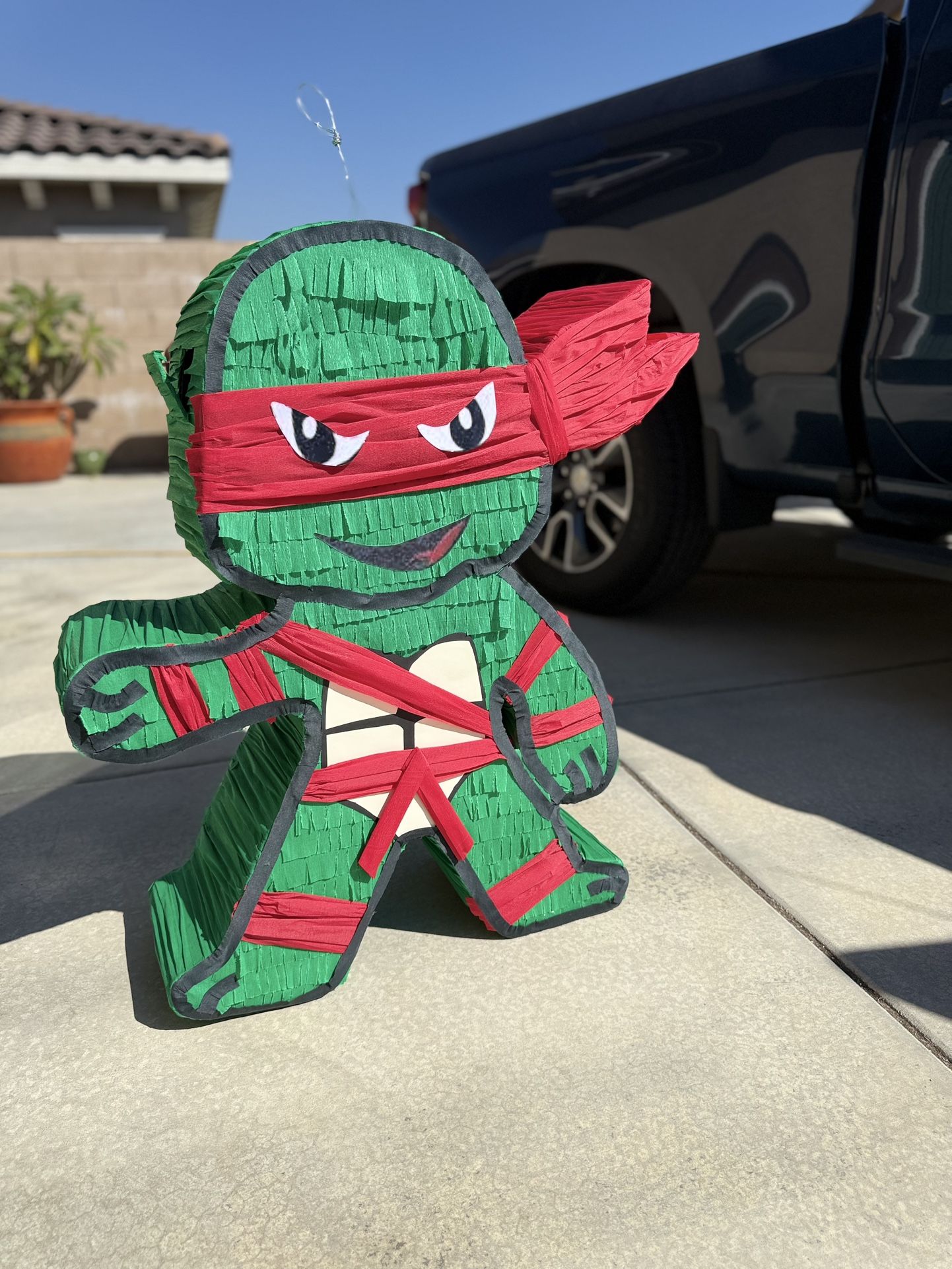 Ninja Turtle Pinata