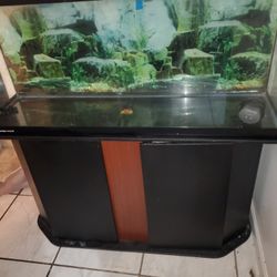Turtle Or Fish Tank 