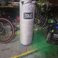 Everlast eighty pound heavy bag