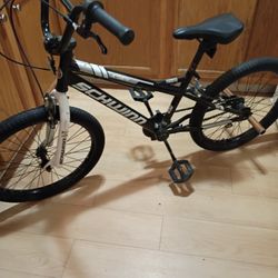 20 Inch Schwinn