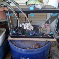Fish Tank