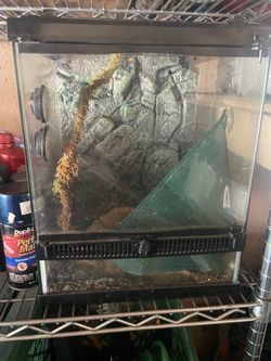 Fish tanks