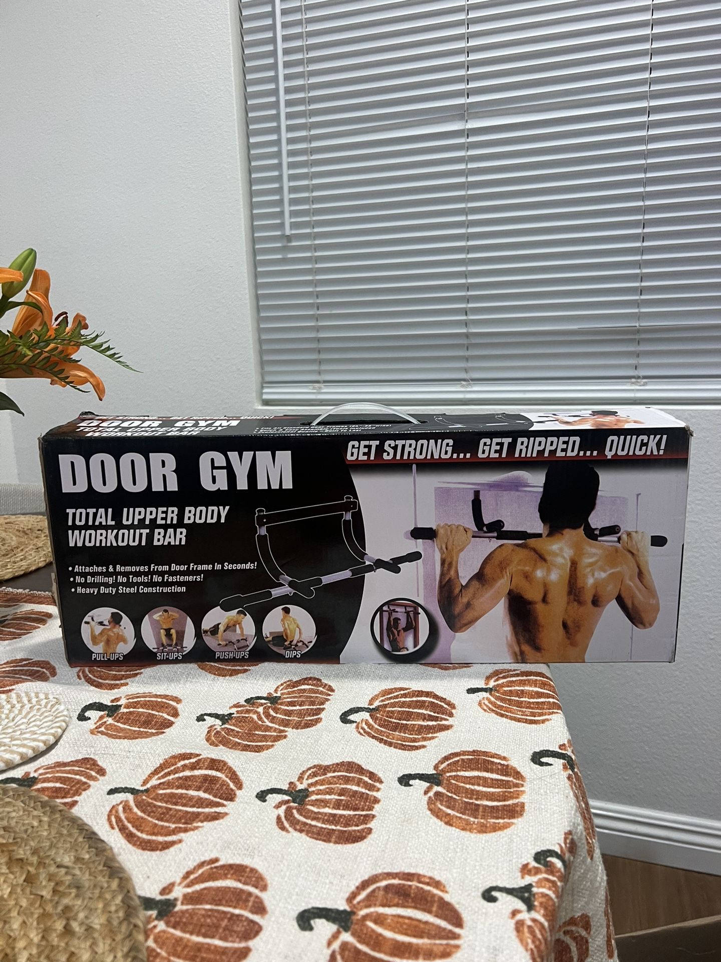 Door Gym Upper Body