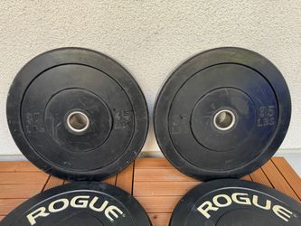 HOME GYM CLEANOUT – Bumper Plates, Dumbbells, Bench & More!