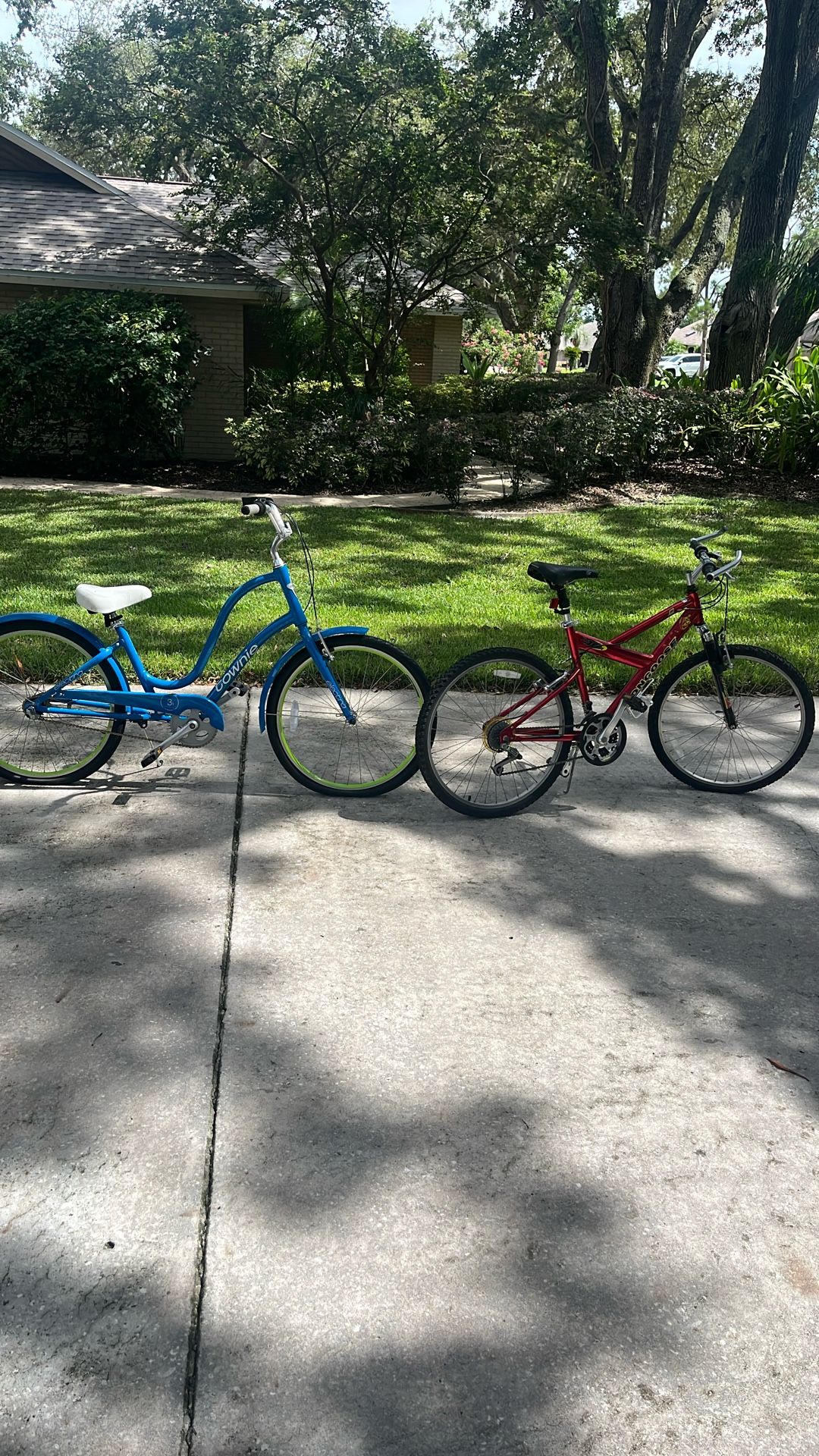 Adult Bikes