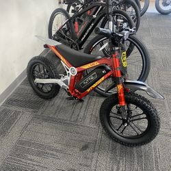 Tuttio ARC-1 Electric Bike 750W/36V