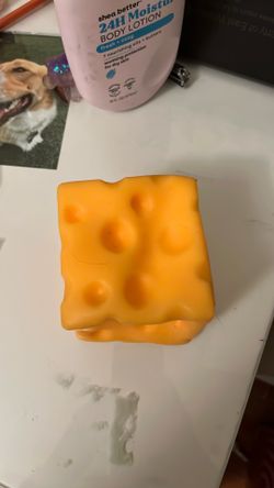 Cheese squishy