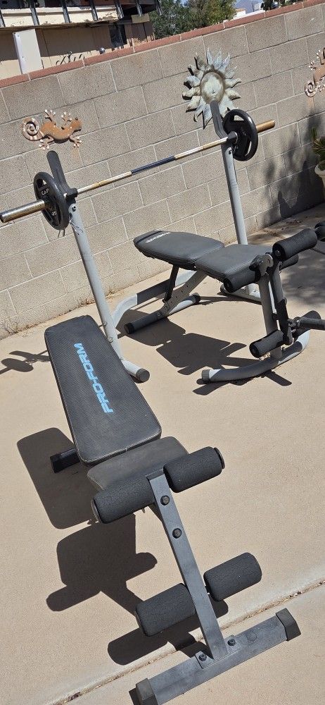 Used Weight Set with 2 Benches + 2x 25 lb Weights – Good Condition – Pickup Only
