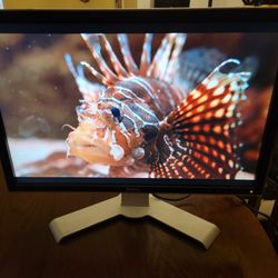 Dell 24 Inch Monitor. HDMI, Composite, VGA, Displayport, More