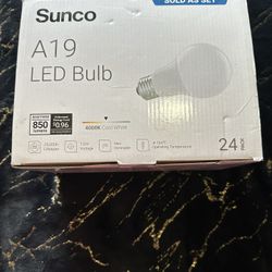 A19 LED Light Bulbs Case