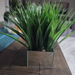 Artificial Plant 🪴 With Mirror Vase