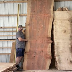 Huge Redwood Table Top Live Edge Slabs 