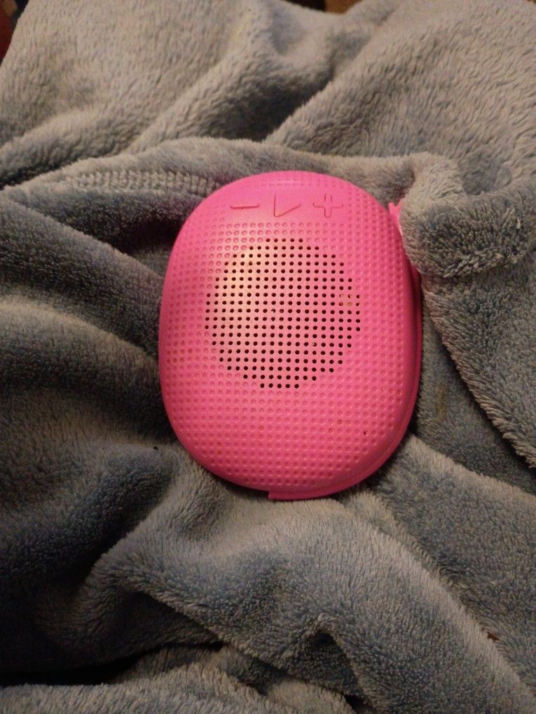 Pink Minni Speaker