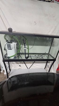 55 Gallon complete tank setup with hood and metal stand