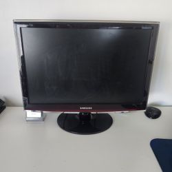 Samsung Computer Monitor 22"