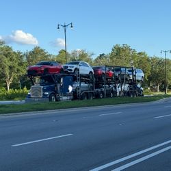 Car Hauler/ Car Carrier