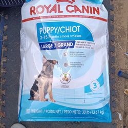 Royal Canin Puppy Large Breed 