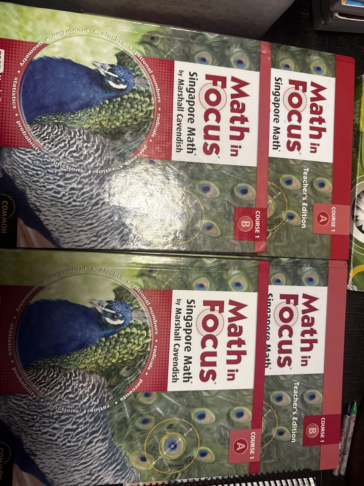 Math in Focus