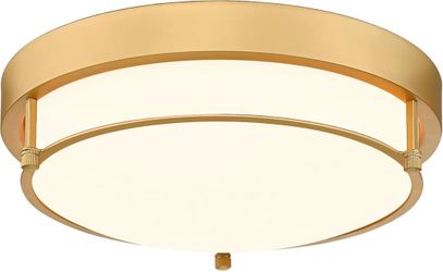 Ceiling light fixture 12 inch