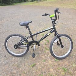 Fuji 16 Kids Bike