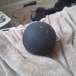 Echo Dot Alexa 
